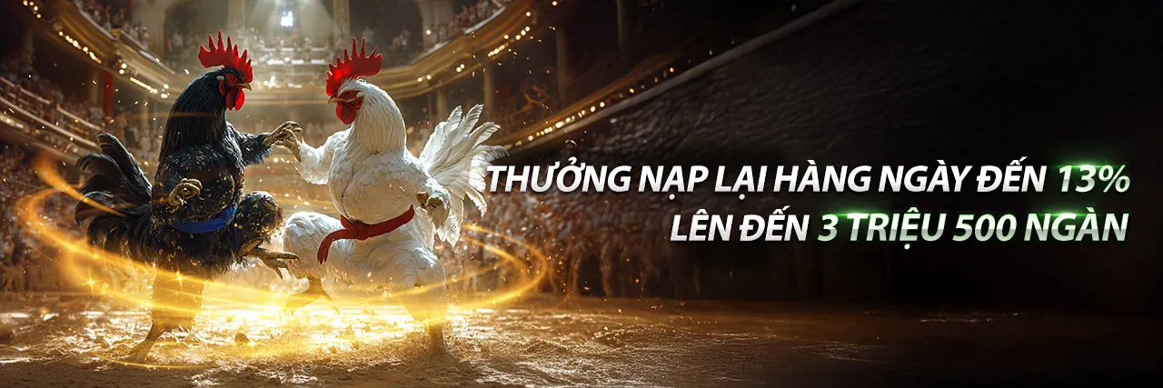 Đá Gà Trực Tuyến Fabet88